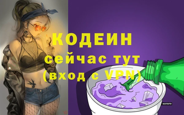 МДПВ Дмитриев