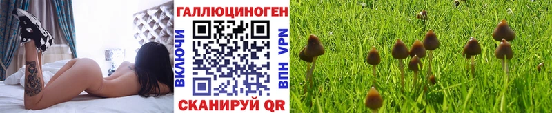 Псилоцибиновые грибы Psilocybine cubensis  Ряжск 