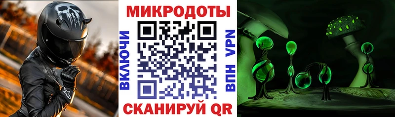 Псилоцибиновые грибы Psilocybine cubensis Ряжск